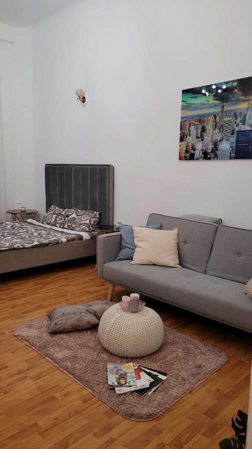 Opera Victoriei Residence - Ultracentral Cozy Accommodation Тімішоара Екстер'єр фото